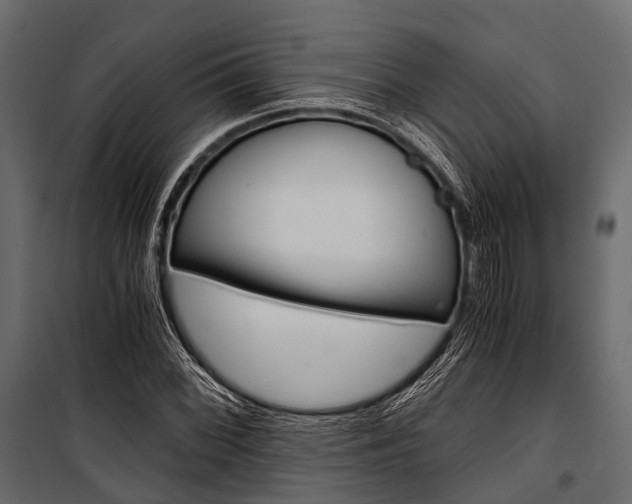 X0000100931068200806241132
