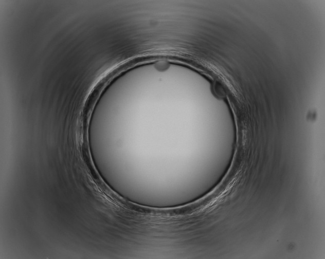 X0000100931069200806241132