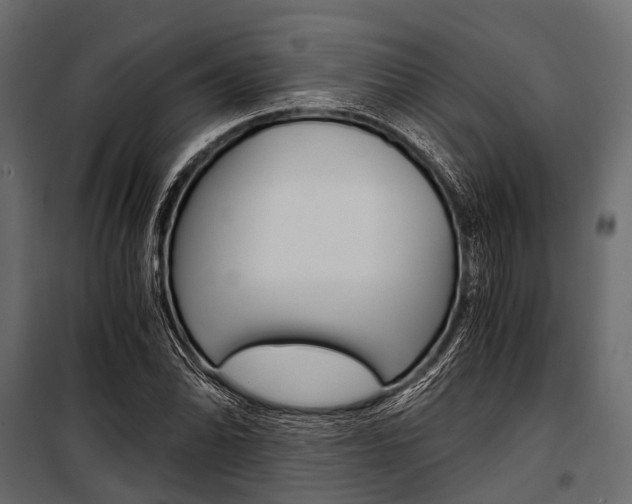 X0000100931070200806241132