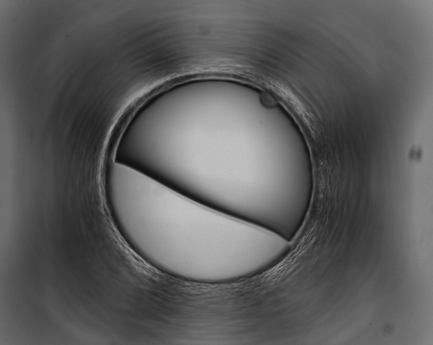 X0000100931072200806241132