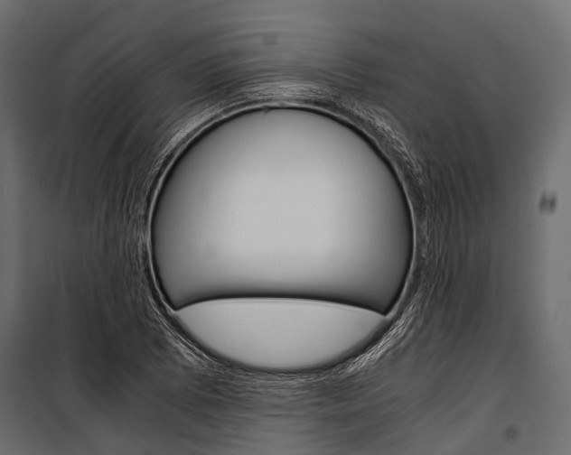 X0000100931073200806241132