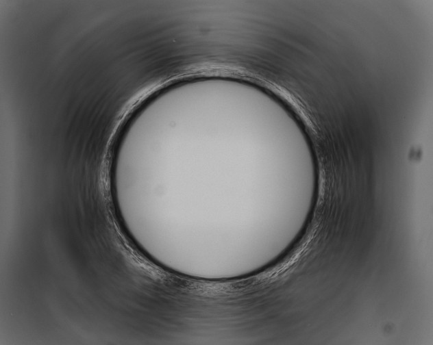 X0000100931074200806241132