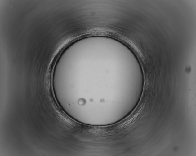 X0000100931075200806241132