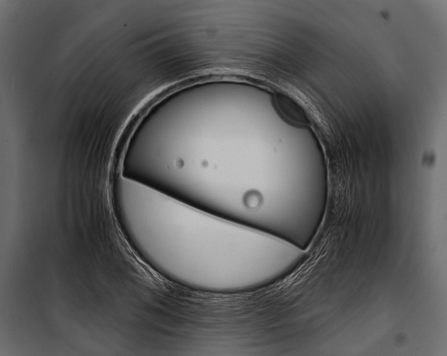 X0000100931076200806241132