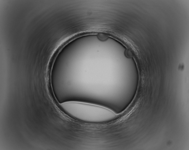 X0000100931077200806241132