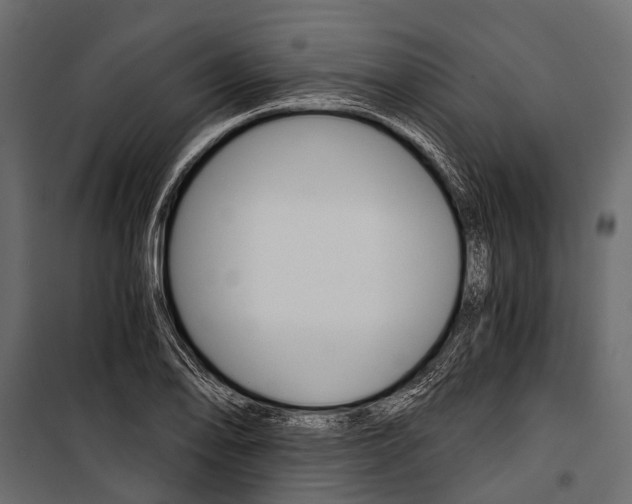 X0000100931078200806241132