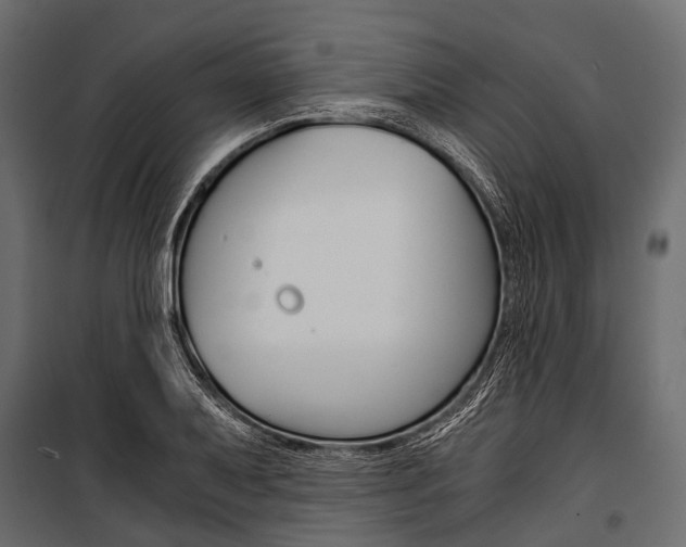 X0000100931079200806241132