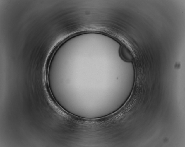 X0000100931080200806241132