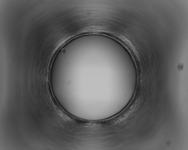 X0000100931081200806241132