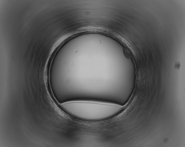 X0000100931082200806241132