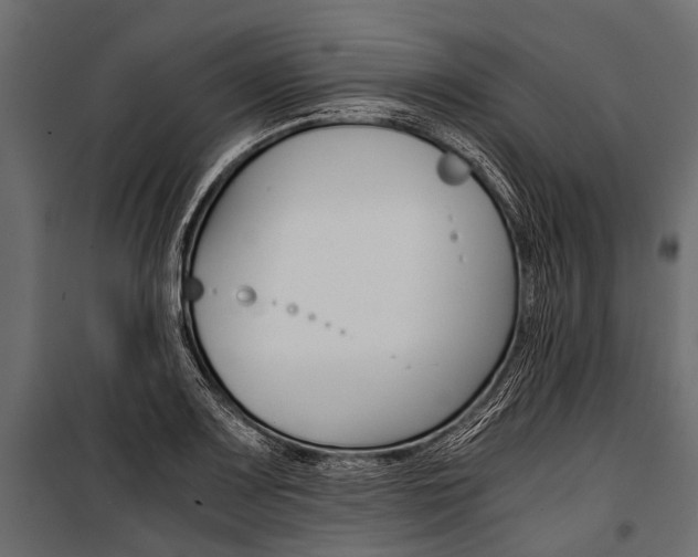 X0000100931083200806241132