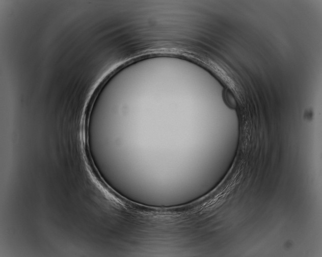 X0000100931084200806241132