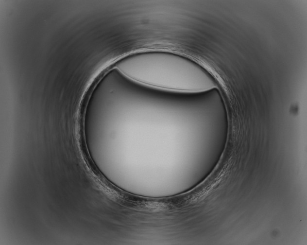 X0000100931085200806241132