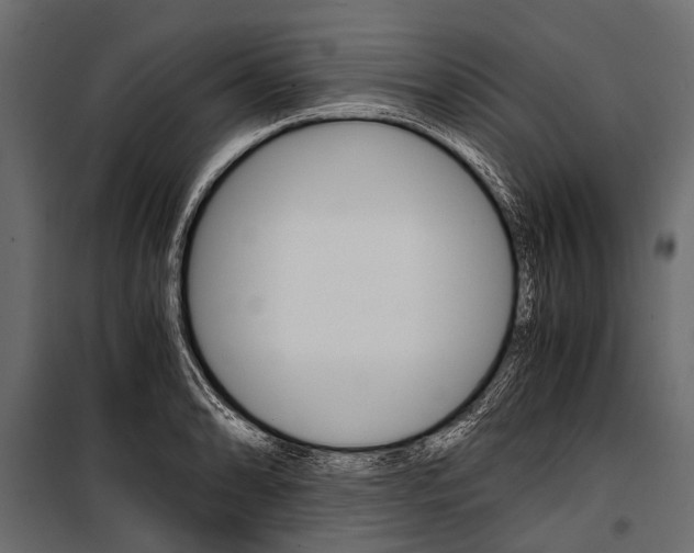 X0000100931086200806241132