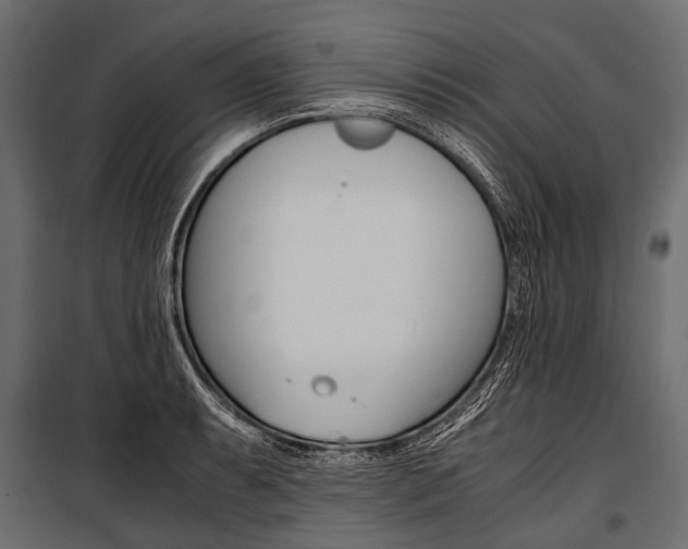 X0000100931087200806241132