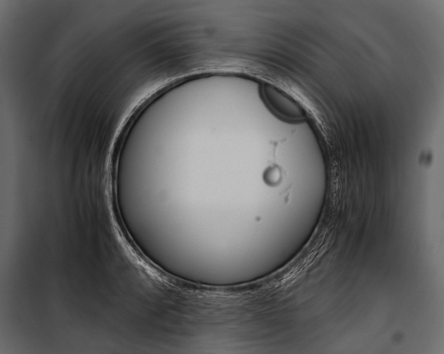 X0000100931088200806241132