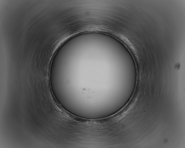 X0000100931089200806241132