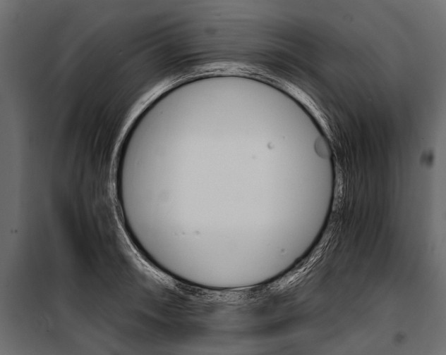 X0000100931090200806241131