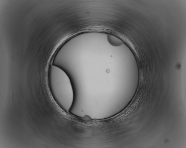 X0000100931091200806241131