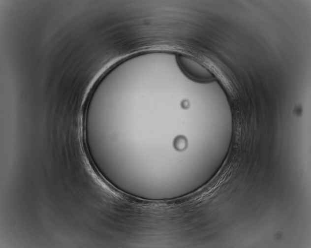 X0000100931092200806241131