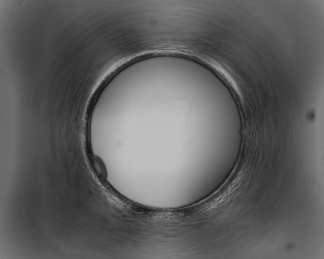 X0000100931093200806241131