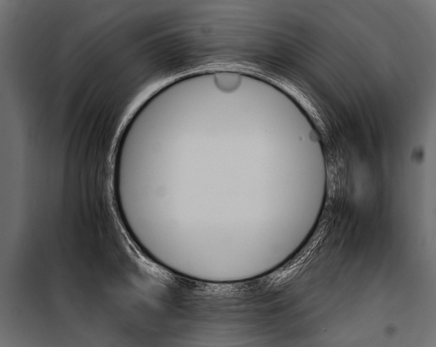 X0000100931094200806241131