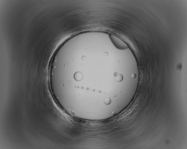 X0000100931095200806241131