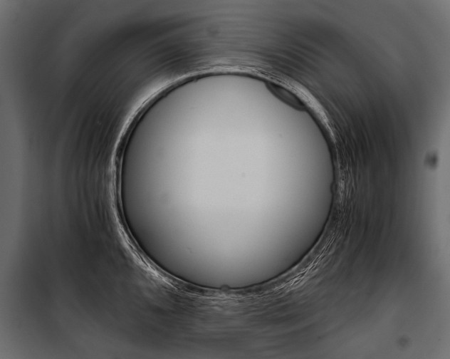 X0000100931096200806241131