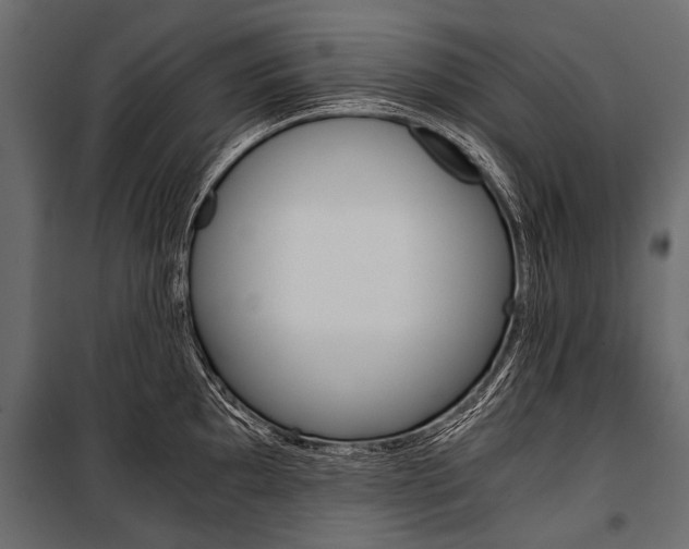 X0000100931097200806241131