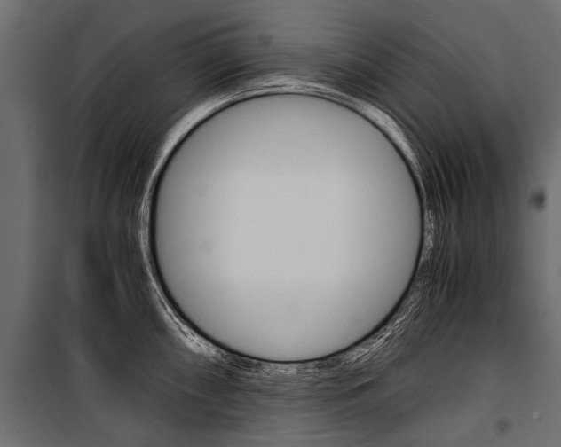 X0000100931098200806241131