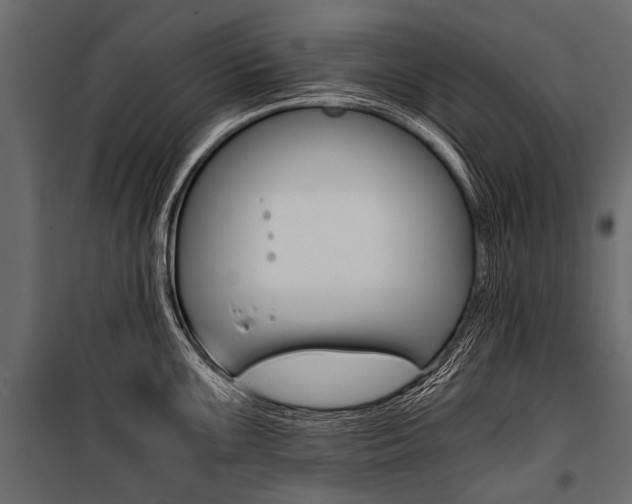 X0000100931099200806241131