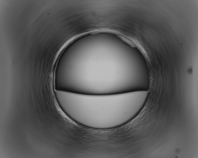 X0000100931100200806241131