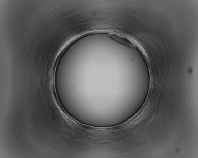 X0000100931101200806241131