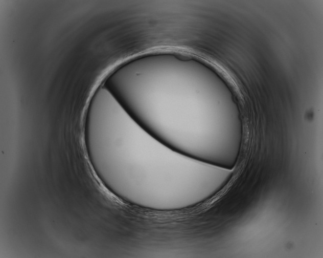 X0000100931102200806241131