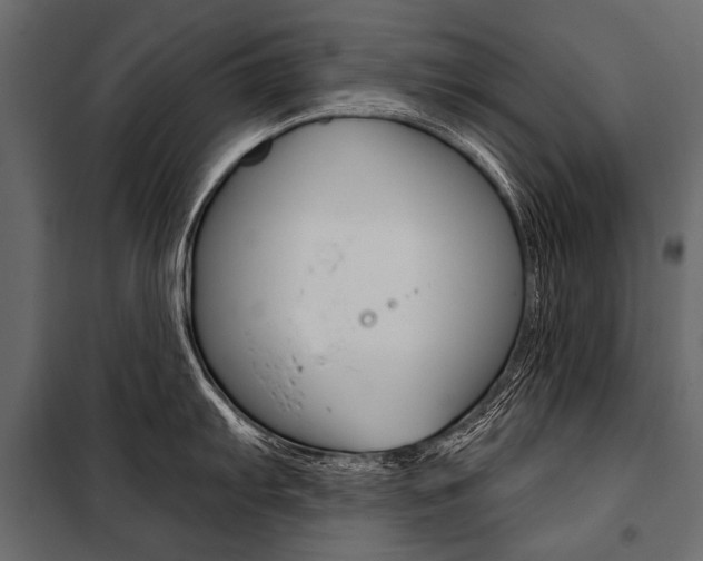 X0000100931103200806241131