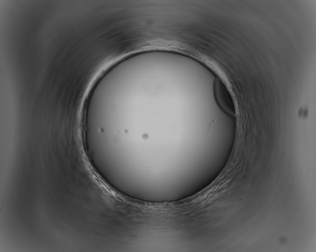 X0000100931104200806241131