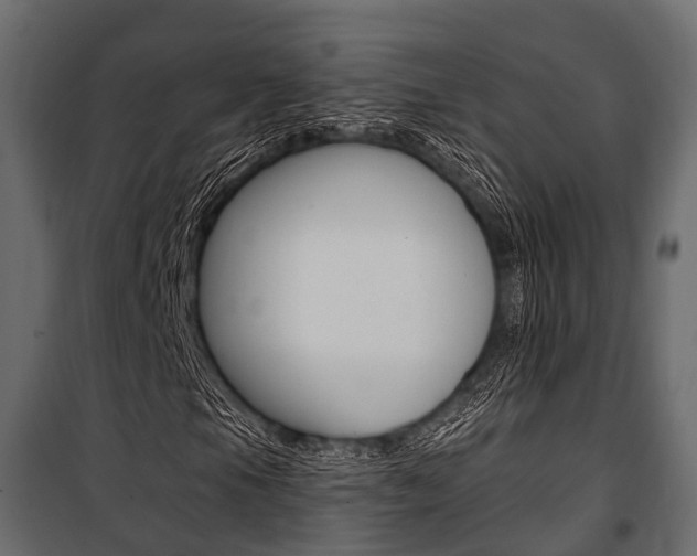 X0000100931105200806241131