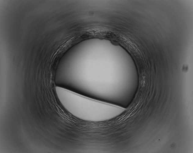 X0000100931108200806241131