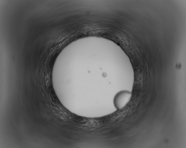 X0000100931109200806241131