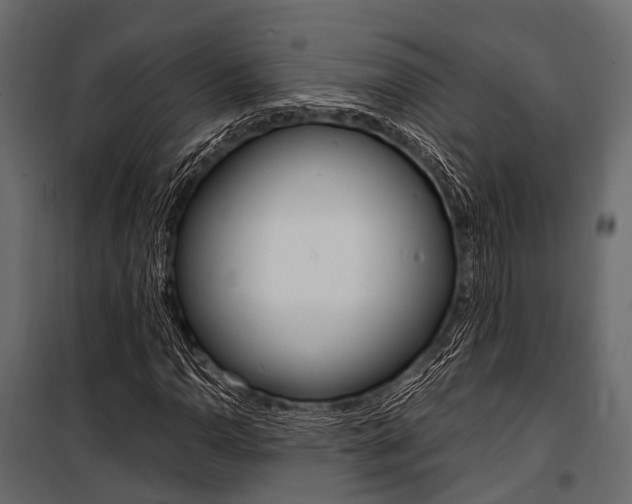 X0000100931110200806241131
