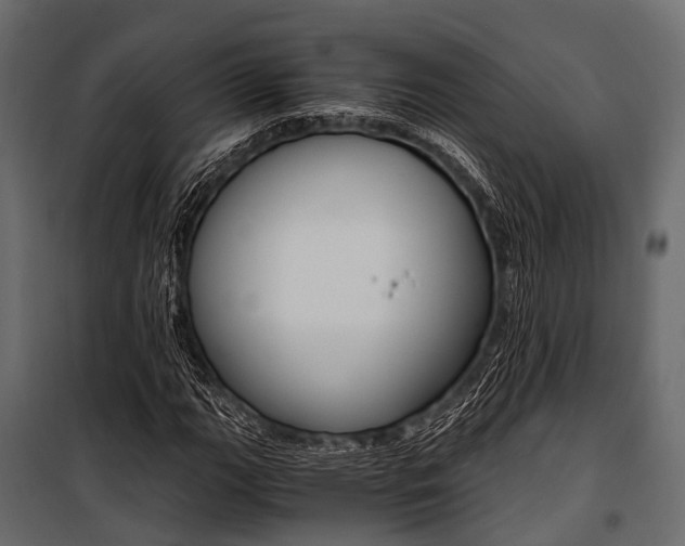 X0000100931111200806241131