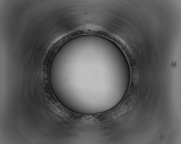 X0000100931112200806241131