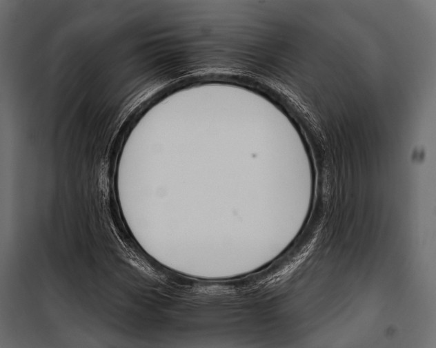 X0000100931113200806241131