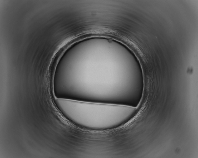 X0000100931114200806241131