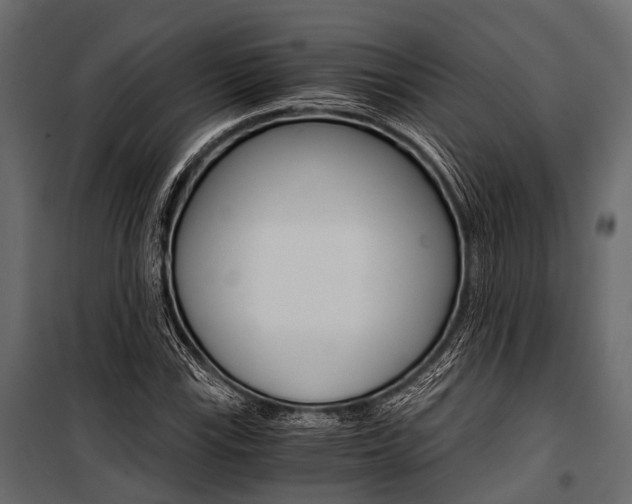 X0000100931115200806241131