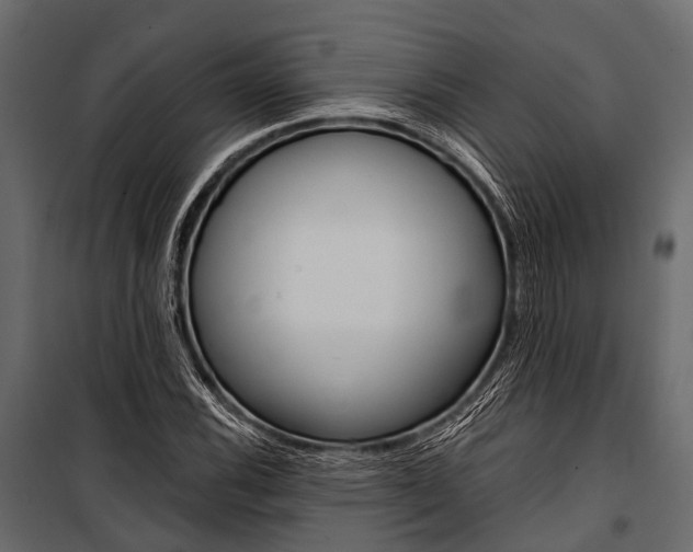 X0000100931116200806241131