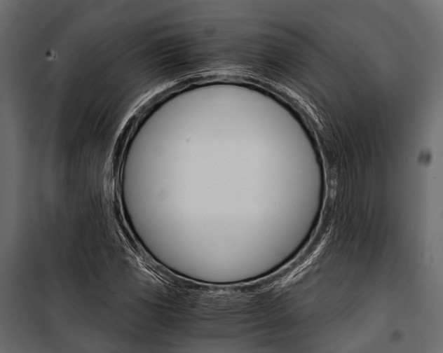 X0000100931117200806241131