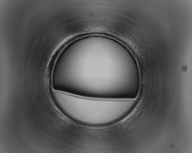 X0000100931118200806241131