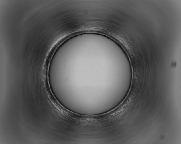 X0000100931119200806241131