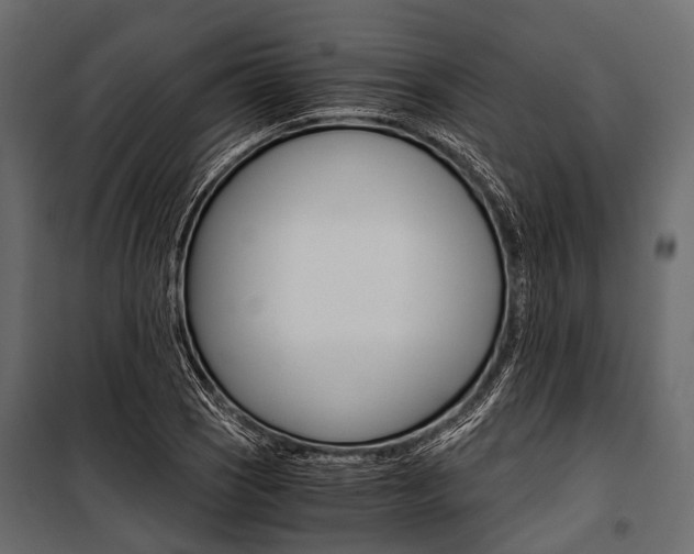 X0000100931121200806241131